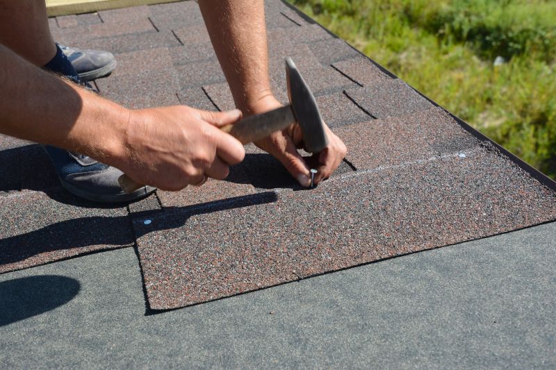 Professional Asphalt Roof Repair 3