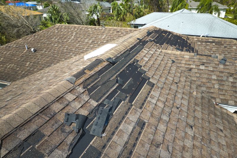 Asphalt Roof Repair Image 3