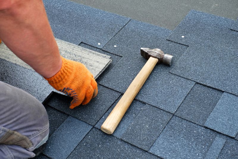 Professional Asphalt Shingle Repair 2
