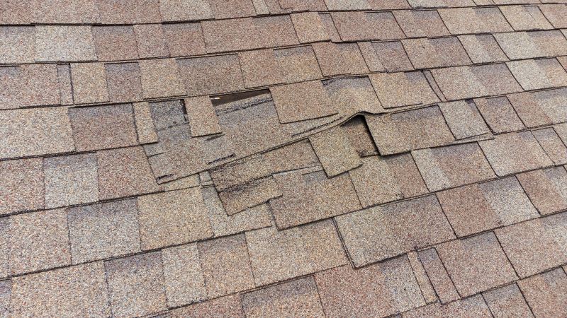 Professional Asphalt Shingle Repair 6