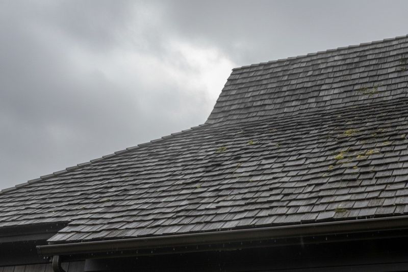 Cedar Shingles Replacement